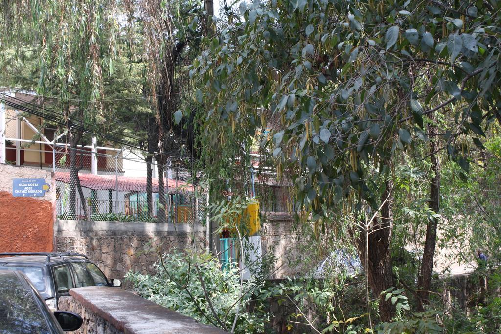Arquitectos Departamento 11-5 Lejlighed Guanajuato Eksteriør billede